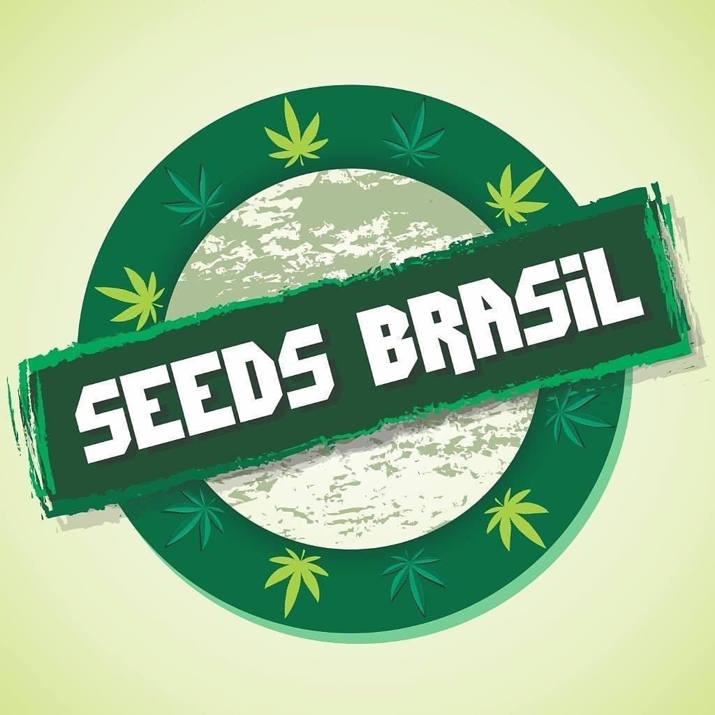 Seeds Brasil